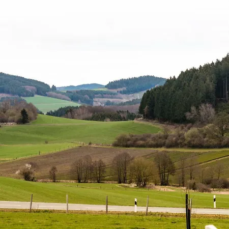 Spacious Holiday In Niederlandenbeck With Sauna Tatil Evi Schmallenberg